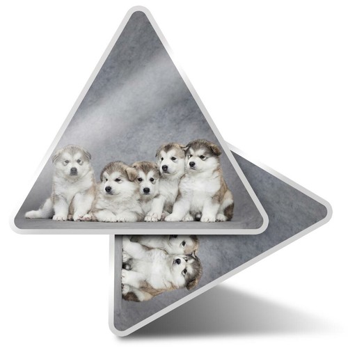 Triangle stickers 5cm - ,