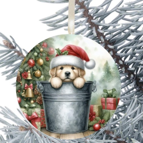Golden retriever dog hanging - golden,