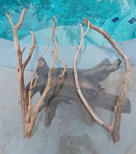 Set large driftwood - set,