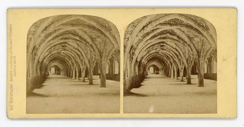 Stereoview stereoscope card - stereoscope,