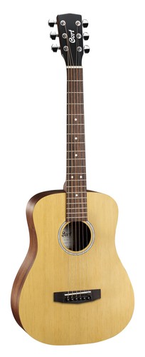 Cort adminiop standard - standard, series