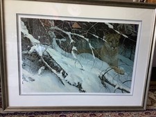 Robert Bateman Cougar In The Snow limited edition print 6844/11857 framed