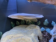 Floating imitation  corner  slate shelf for Reptile Vivarium