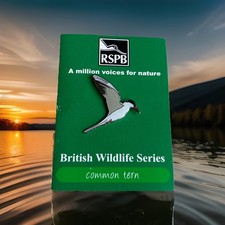 RSPB- COMMON TERN British
