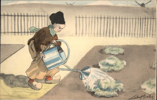 Dutch child watering cabbages - child,