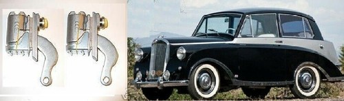 Triumph mayflower renown - (x2),