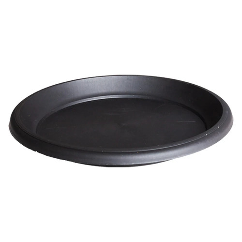 Round saucer shallow plant - round,