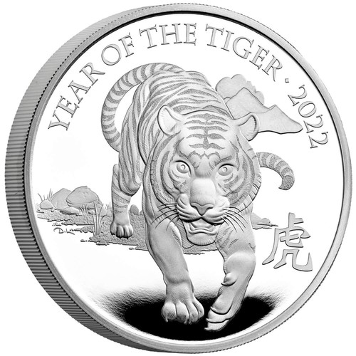 Lunar year the - year, tiger