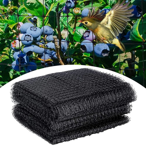 Fruit crop plant protect net - plant,
