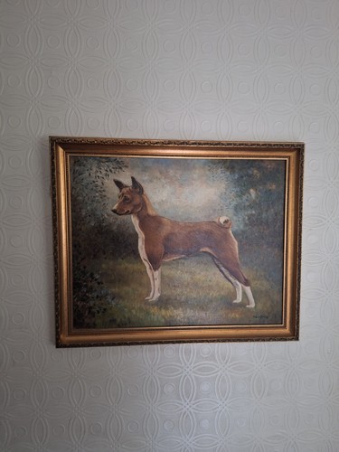 Signed oil painting basenji - signed,