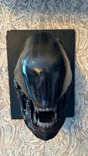 Avp alien predator - alien, vs.