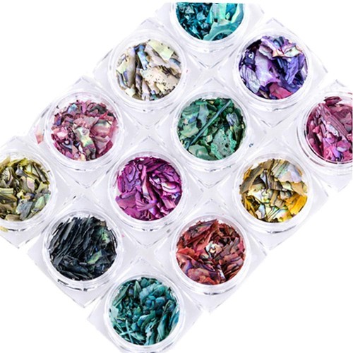 Irregular abalone seashell - irregular,
