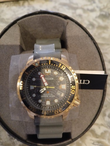 Citizen bn0163 00h - bn0163-00h, promaster