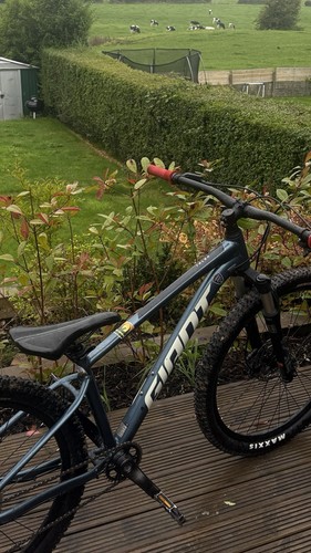 Giant talon 2020 - giant, bike