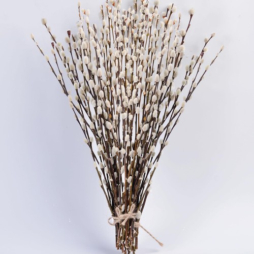 Stems real dried pussy - 45,