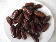 10  DATE PALM SEEDS   (PHOENIX