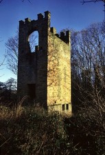 PHOTO  1993 BIRDWELL BARNSLEY