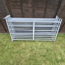 Galvanised Sheep/Lambing