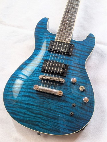 Fernandes apg 55s blue - fernandes,