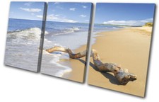 Beach Driftwood Waves Sunset