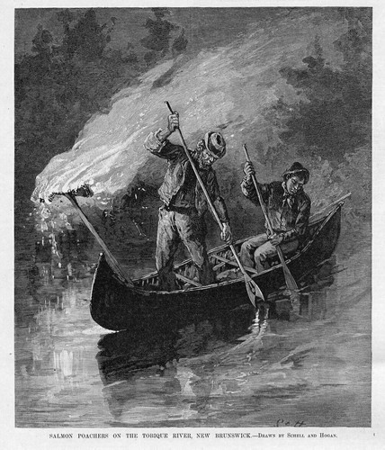 Salmon poachers the - poachers, on