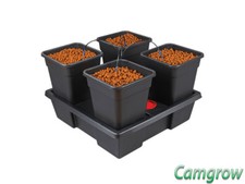 Wilma V2 - Small - 4 x 11