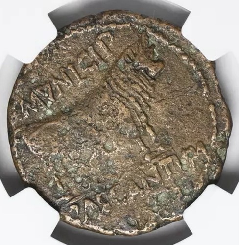 Tiberius roman - tiberius, ad,