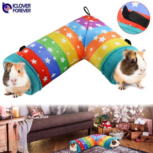 Guinea pig hideout - guinea, corner