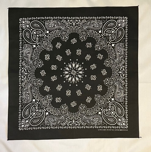 Black paisley approx x22 - approx., 22"x22"