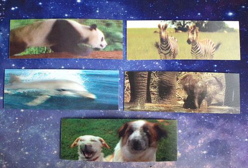 Motion lenticular - 5x,