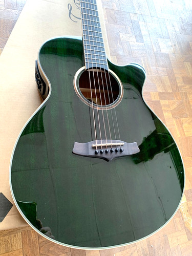Electro acoustic guitar - electro,