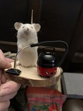 Taxidermy Hoover Mouse