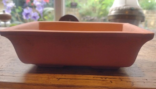 Oriental bonsai pot - bonsai,