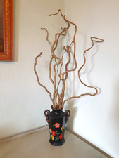 8 x Twisted Corkscrew Hazel