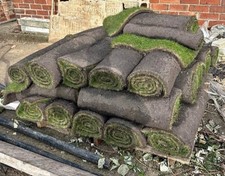 Real Grass Lawn Turf 