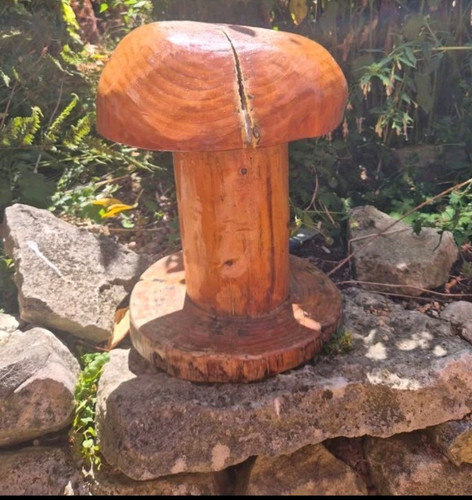 Solid wood mushroom garden - solid,