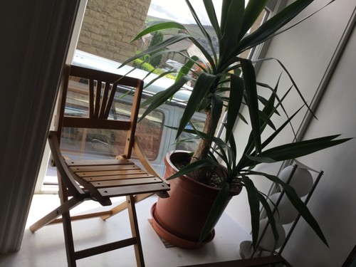 Vintage 1930 beechwood - vintage,