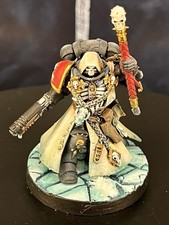 Warhammer 40k Army Space Marines Space Wolves Pro Painted Chaplain