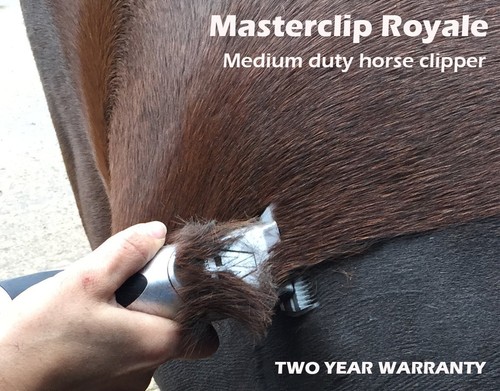 Masterclip royale medium duty - masterclip,