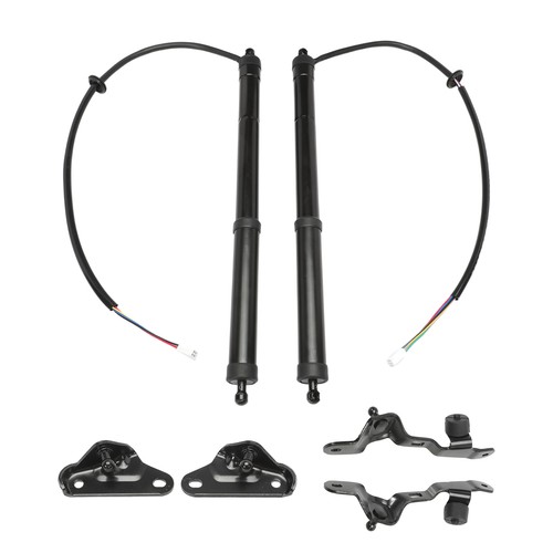 Electric tailgate gas - electric,