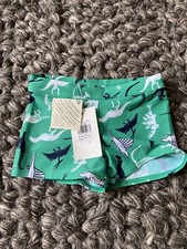 Baby Boys Dinosaur Trunks John