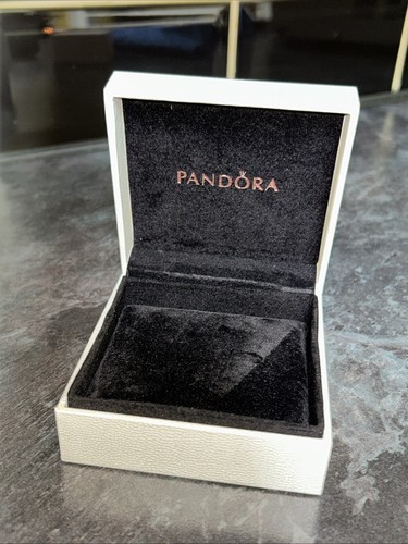 Genuine pandora large charm - large,