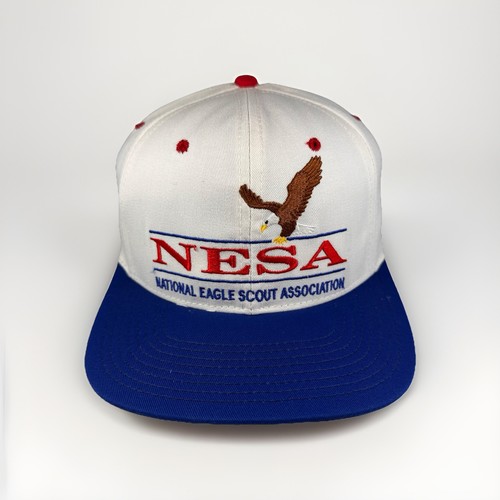 Vintage national eagle scout - eagle,