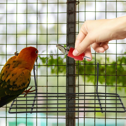 Realistic bird call whistle - bird,