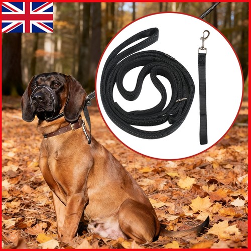 Total pet figure - 8, dog