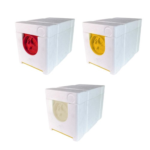 Queen bee breeding box - queen, rearing