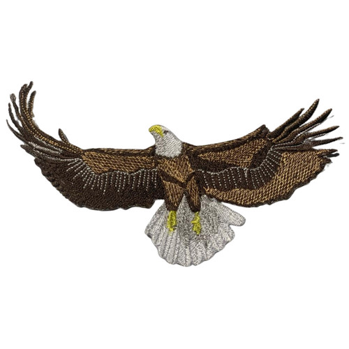 American bald eagle - bald,