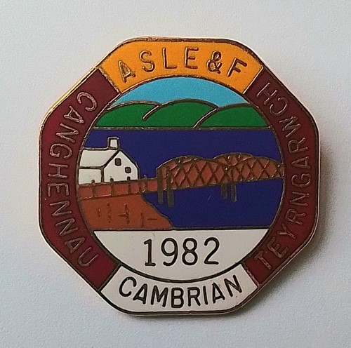 Aslef lapel badge - 1982, rail