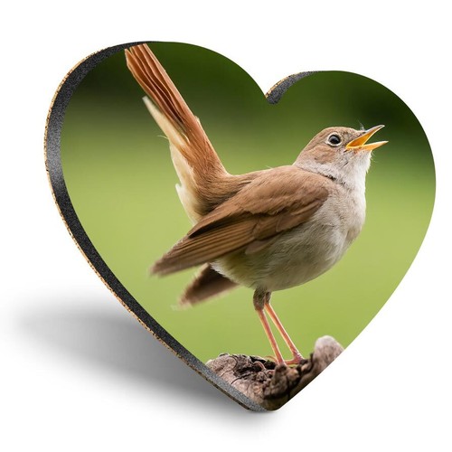 Heart mdf coaster - mdf,