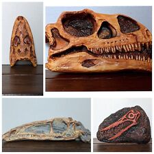 Dinosaur Skull Replicas |
